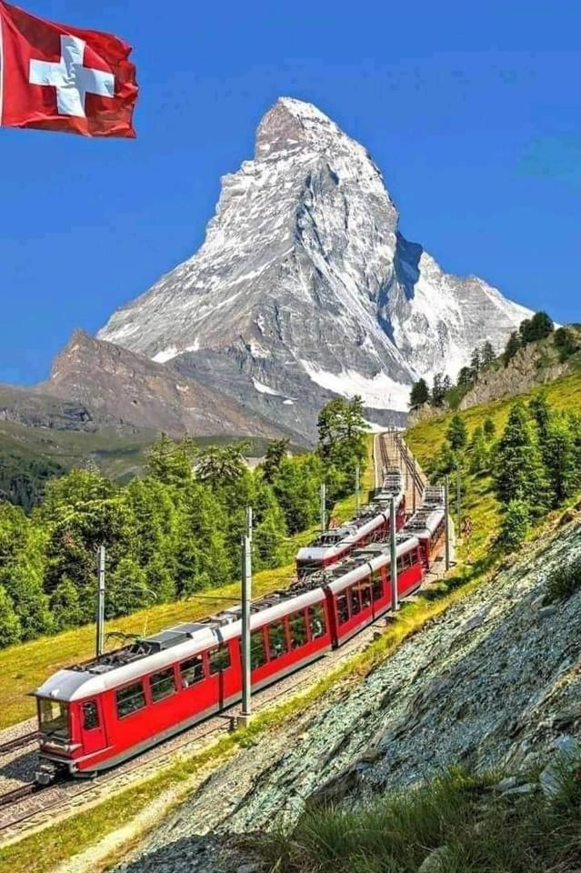 Lion Bb Swiss Zurique Exterior foto